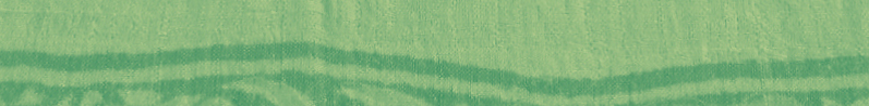 Green Pattern 797 x 98